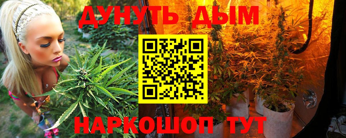 Канабис MAZAR  Вход с VPN  Марихуана MAZAR  Конопля семена  Большой Камень  Конопля Amnesia 